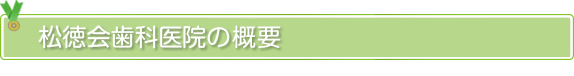 松徳歯科医院概要