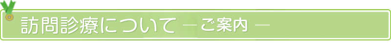 訪問診療についてーご案内ー